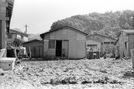 大間町材木の港