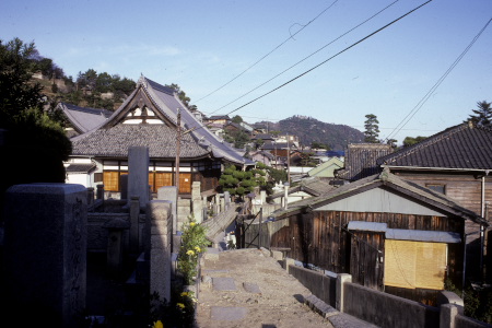 丘の中腹にある光明寺