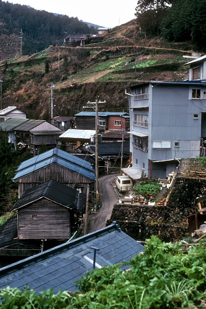 蕨尾地区