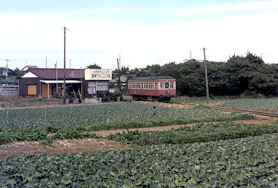 野菜畑をゆく