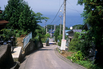 台地の上から小袖海岸を望む