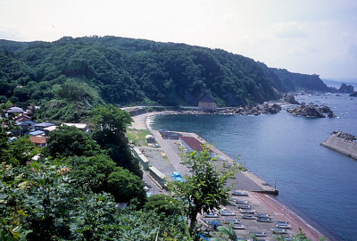 台地の上から小袖海岸を望む