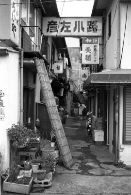 「彦左小路」北側の路地