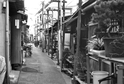 植木鉢と物干しがある路地