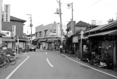 くねくねと蛇行する道