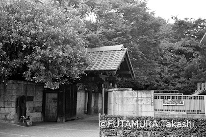 浄閑寺
