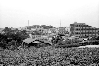 台地の西の縁