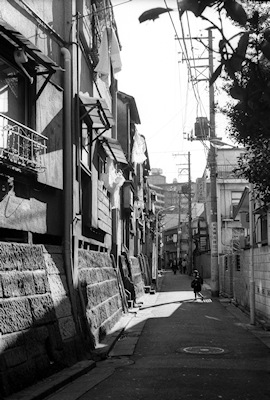 松濤 松濤