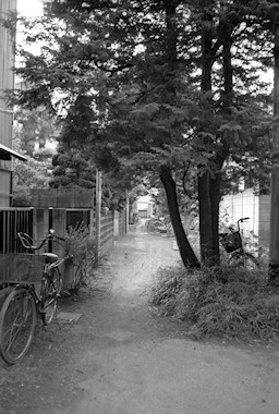 雑司ヶ谷の路地