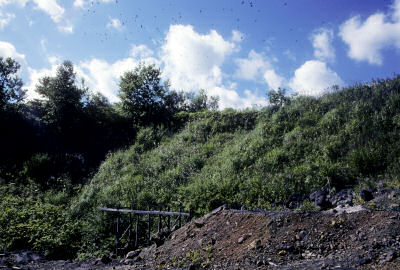 日鉄虻田鉱山跡