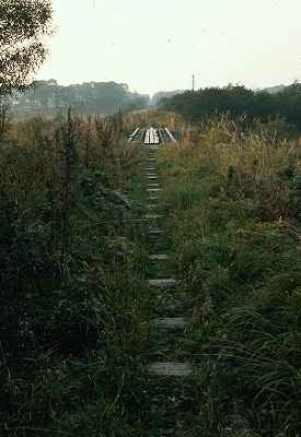 軌道跡