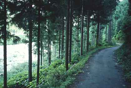 川沿いの軌道跡