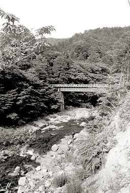 橋の遠景